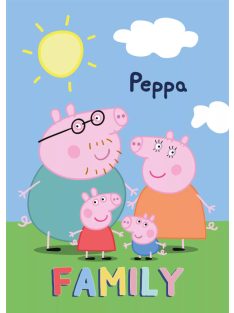 Peppa malac polár takaró, pléd 100x140 cm Nr4